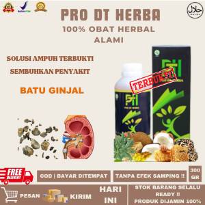 Obat Batu Ginjal Paling Ampuh Penghancur Batu Ginjal Kencing Batu Gagal GinjalAtasi Dengan PRO DT HERBA Original