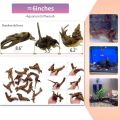 5 Pcs Driftwood Branches Aquarium Wood Decoration Natural Fish Tank Habitat Decor Wood for Lizard Assorted Size-Small. 