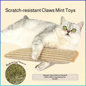 Cat Toys Magic Claw Cat Scratching Pad Bite Resistant Relief Supplies Cat SelfHeeling Teething Pillow Catnip Pillow 猫咪玩具