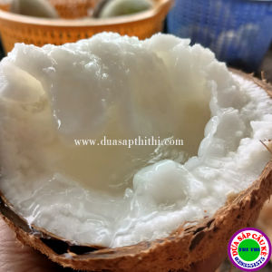 COMBO 2 DỪA SÁP LOẠI 1 TRÁI ĐẶC BIỆT