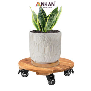 Đế Lót Chậu Cây Có Bánh Xe Đường Kính 35cm Tải Trọng 150Kg - Di Chuyển Chậu Cây Thường Xuyên Ở Văn Phòng Khách Sạn Và Các Khu Resort Sang Trọng