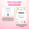 [Nội địa Nhật] PICO COLLAGEN với Collagen Kích Thước Siêu Nhỏ Ngăn Ngừa Lão Hóa, Dưỡng Ẩm Và Làm Đẹp Da Hộp 180 viên. 