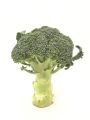บล็อคโคลี่ 1หัว 250-350กรัม🥦 - ผักผลไม้สด Broccoli. 