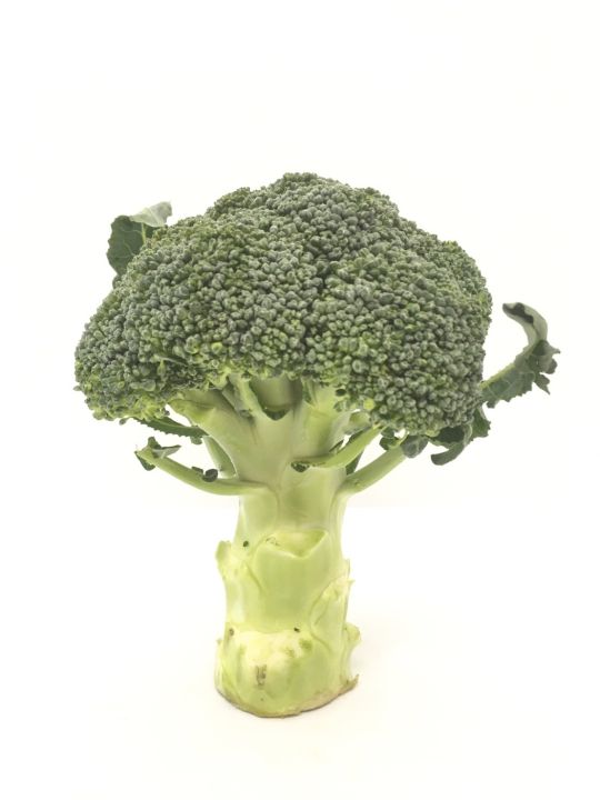บล็อคโคลี่ 1หัว 250-350กรัม🥦 - ผักผลไม้สด Broccoli