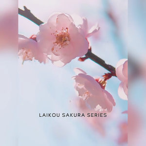 Extract Anti-Aging Cream Brightening Anti-Aging Cream Face Tightening Revitalizing Moisturizer for All Skin Types