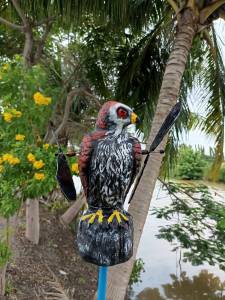 ไล่นกตามทุ่งนา หุ่นไล่กา ไล่นกบ่อปลา ไล่นกบ่อกุ้ง ไล่นกกลางแจ้ง ไล่นกบนหลังคา ไล่นกสวนผลไม้ ไล่นกสวนทุเรียน ตัวใหญ่ ติดตั้งง่าย  อุปกรณ์ตกแต่งสวน