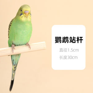 Pet Bird Perch Wooden Solid Wood with Screws for Starlings Parakeets Parrots Bird Perch Perch Stick Perch Platform Bird Cage Accessories