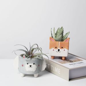 Mini Succulent Planter Pot with Drainage Cute Ceramic Animal Planters Plant Flower Pot for Indoor Outdoor Garden Decoration Small Planter Pot
