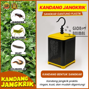 KANDANG JANGKRIK sangkar gantung plastik wadah tempat kotak kelabang