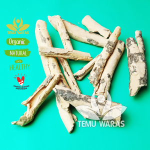 Kulit Kayu Pulosari 500gr / Pulasari / Palasan atau Pulowaras Grade A