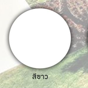 สีทากันรั่วซึมดาดฟ้า หลังคา คุณภาพสูง MINOR สีอะคริลิค สีโพลียูรีเทน (ขนาด 20 กิโลกรัม) กันความร้อน กันน้ำ ยืดหยุ่นทนทานทุกสภาวะอากาศ