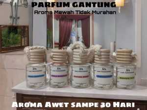 Pengharum Mobil/ Parfum Mobil /Pengharum Ruangan Gantung wangi Tahan lama Ukuran 10 ml