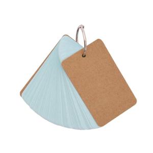 50 tờ Unlined thẻ chỉ mục với chất kết dính Nhẫn thẻ sửa đổi đấm thẻ ghi chú unruled nghiên cứu thẻ flashcard cho việc học tập