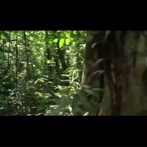 New Chinese Style Console Tables Living Room Entrance Cabinet Ultra Narrow Modern Solid Wood a Long Narrow Table Altar Ho Hall Side View Units