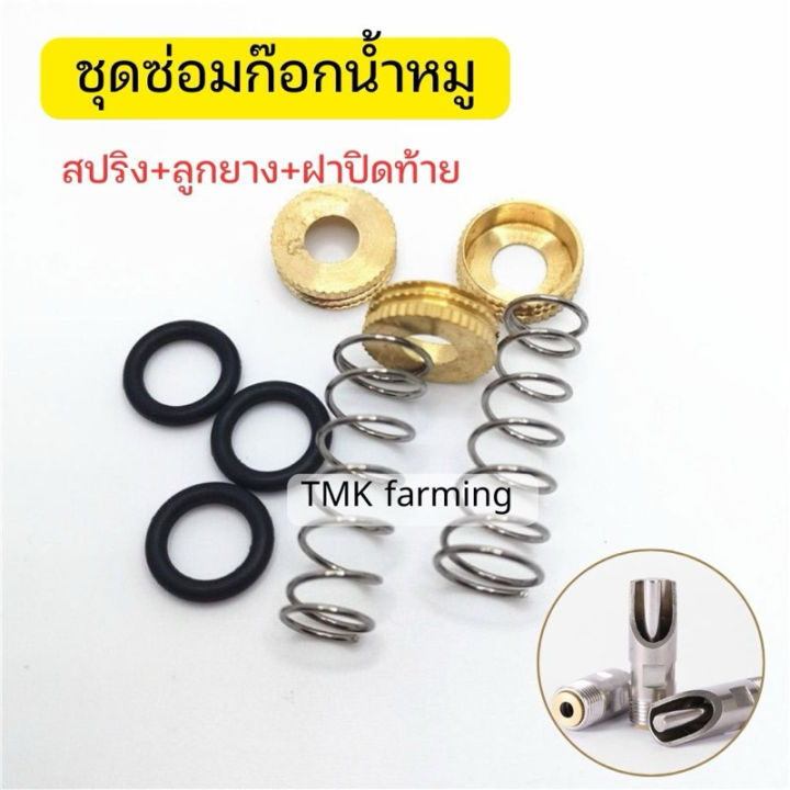 อะไหล่สปริง และลูกยางพร้อมฝาปิดท้าย [ทองเหลือง] อะไหล่จุ๊บน้ำหมู สปริง ...