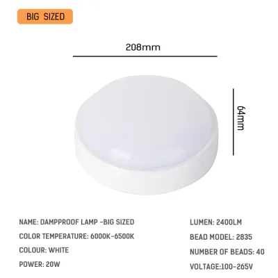 DINGDIAN LED 100-265V 16W/20W LED Light for Room Ceiling Ceiling Light for Bathroom Surface Mounted Dampproof Light Indoor Outdoor Corridor Lights