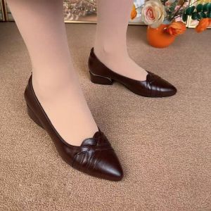 Free Shipping Comfortable And Soft-Soled Women’S Shoes 2026 Autumn New Collection Mid-Heel Women’S Leather Shoes Suitable For Middle-Aged And Elderly Women