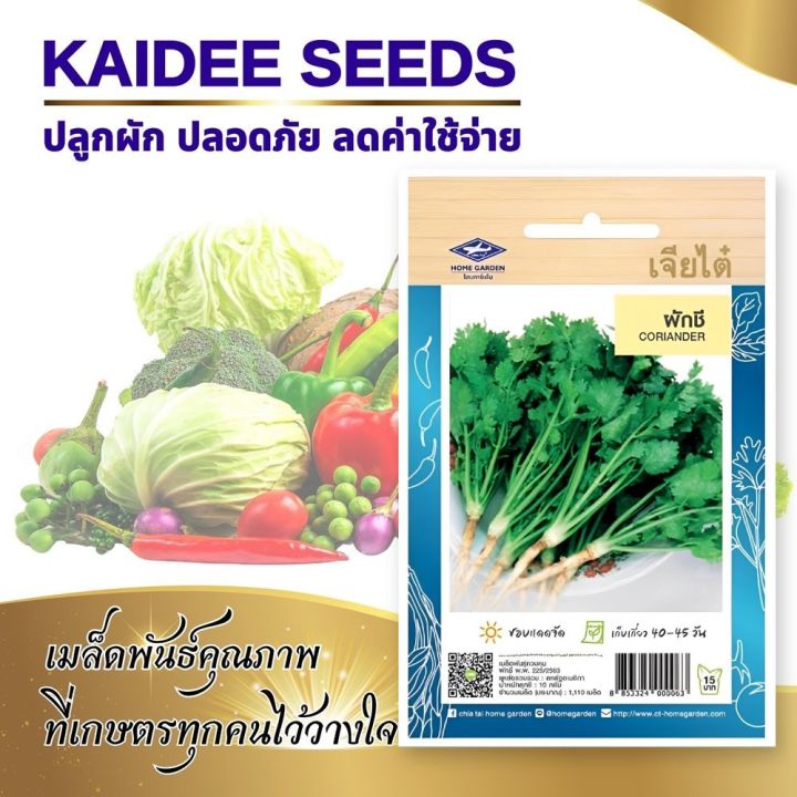 7 อันดับเมล็ดพันธุ์ผักเจียไต๋ยอดนิยม ปลูกง่าย โตไว อัปเดตปี 2025