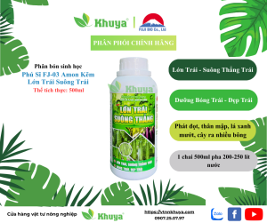 Phân bón sinh học vi lượng  FUJI Lớn Trái Suông Trái 500ml
