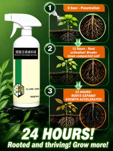 RootX RootX Tree Bamboo Grass Targeted Conduction Root Remover/Uprooting Solution For Gardeners/One Spray Easy Use/Root Rot Control