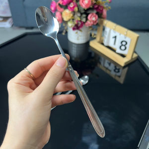 Muỗng cà phê inox sáng bóng thìa inox không rỉ cao cấp My Home DN496