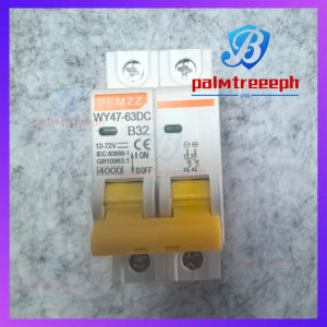【Ready stock】2P DC Mini Circuit Breaker Battery Switch 12-72V Low voltage DC circuit breaker 16A 20A 32A