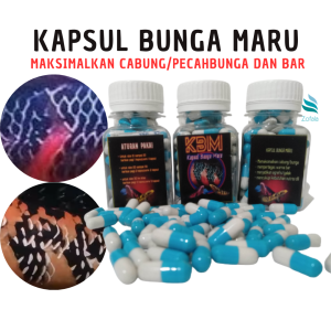 Paket Pakan Channa Maru progres cabung/bunga & bar ikan chana