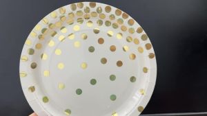 LZD DYLIVeS 80 Pack Rose Gold Paper Plates: Perfect for Fall Parties & Events