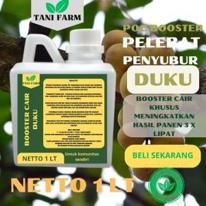 Pupuk Semprot Pelebat Buah DUKU Pupuk Pelebat Buah DUKU Pupuk Penyubur Buah DUKU ZPT