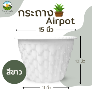 Airpot 15 นิ้ว กระถางปลูกสายเขียว กระถางเร่งราก ขนาด 15 นิ้ว