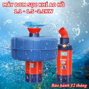Máy bơm nước sục khí oxy hòa tan cho ao hồ nuôi cá - Công suất 1.1-1.5-2.2Kw - Đầy đủ phụ kiện - BH 12 tháng