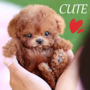 【Hot Sale】Puppy Dog Plush Doll/ Robot Doll Plush Toy Dolls/ Realistic Robot Puppy/Simulation Plush