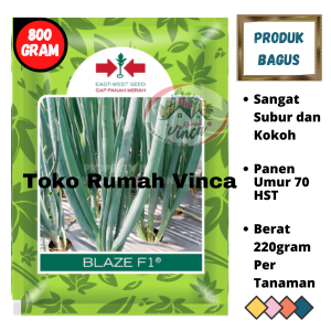 Benih Bibit Daun Bawang BLAZE F1 10g Cap Panah Merah Bawang Pre batang