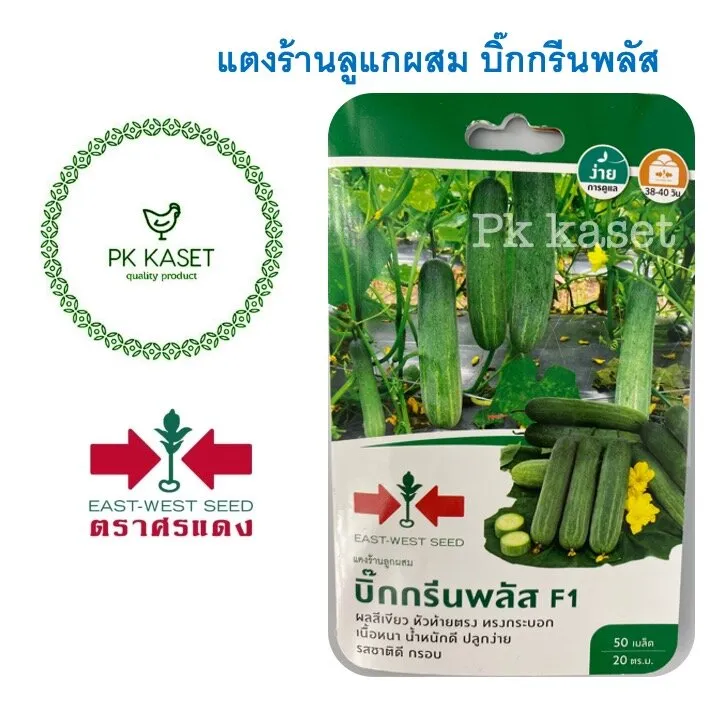 เมล็ดแตงร้าน บิ๊กกรีนพลัส F1 ศรแดง สำหรับกินสด