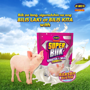 1 kg B-Meg Booster Milk B-meg Super Biik Booster+Milk Formula 1kg for PIGLETS booster feeds super biik booster