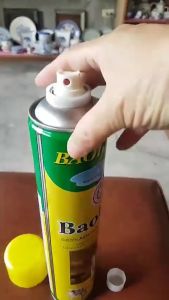 BUY 1 TAKE 1 Baolilai Aerosol Insecticide Spray 750ml