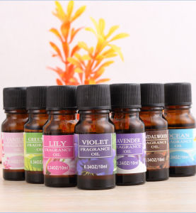 OIL AROMATHERAPY ESSENTIAL OIL DIFFUSER ESSENTIAL OIL HUMIDIFIER PENGHARUM RUANGAN  AROMATERAPI MINYAK AROMATERAPI RUANGAN REFILL AROMATERAPI REFILL PENGHARUM RUANGAN