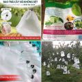 Bộ 50 túi bọc trái cây (bọc bưởi diễn, nhãn, xoài...) KT30x30, túi bao trái hàng chất dày đẹp, loại tốt, bọc trái Ánh Dương. 