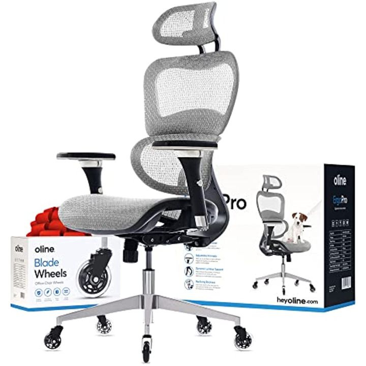 Oline ErgoPro Ergonomic Office Chair Rolling Desk Chair with 4D  Adjustable Armrest, 3D Lumbar Support and Blade Wheels Mesh Computer  Chair, Gaming - Main Image