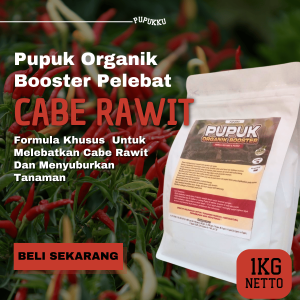 Pupuk Pelebat Buah cabe rawit Booster cabe rawit Pupuk cabe rawit awal tanam paling Bagus
