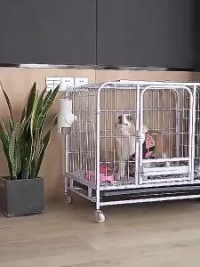 [SG] Dog Cage Medium-sized Large Dog Indoor With Toilet Border Collie Small  Cage