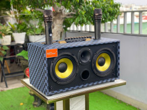 Loa xách tay karaoke nghe nhạc du lịch B62 Pro Bass đôi 16 công suất 300w kèm 2 micro không dây cao cấp giá rẻ