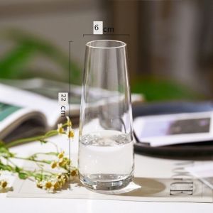 [HCM] Lọ hoa thủy tinh đơn giản  bình hoa thủy tinh đẹp -GL314