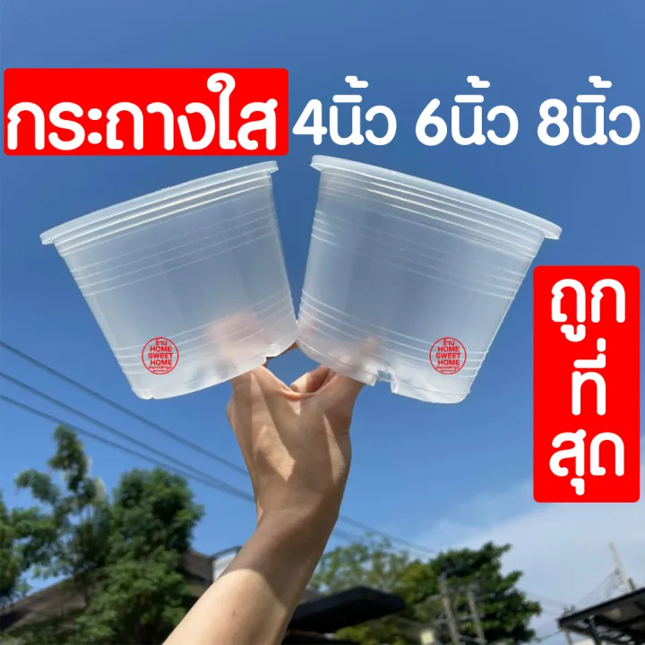 กระถางพลาสติกใสสำหรับส่องรากต้นไม้ ขนาด 4-8 นิ้ว