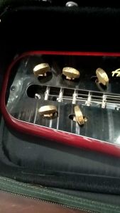 BRANDNEW TAISHIGOTO ELECTRIC KOTO GUITAR WITH HARD CASE WITHOUT CORDS ACTUAL PHOTOS AND VIDEO