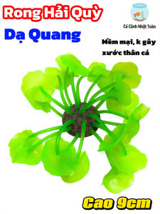 Rong Hải Quỳ Dạ Quang Trang Trí Bể Cá Cảnh Thủy Sinh (Cao 9cm) Mẫu Ngẫu Nhiên