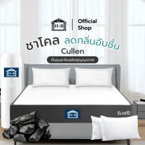 [รับประกัน 10 ปี] Home Best [อัดสุญญากาศ] ที่นอนชาโคล หนานุ่น ไร้กลิ่นอับชื้น พกพาง่าย รุ่น Cullen หนา 4 นิ้ว แถมฟรีหมอนหนุน