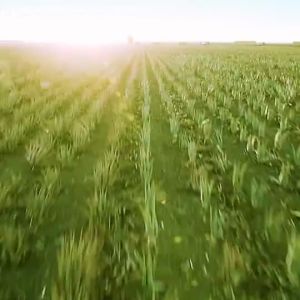 Nature Republic Soothing And Moisture Aloe Vera 92% Soothing Gel (TUB)