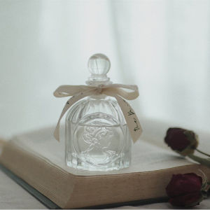 100ml Ins Style Hotel Inspired Aroma Reed Diffuser Non fire aroma scent reed diffuser aroma Scent Christmas Gift