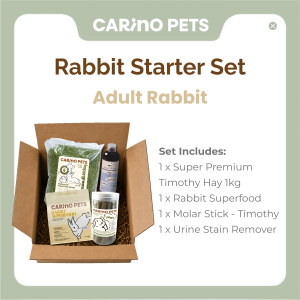 [24HR SHIP] RABBIT STARTER SET Rabbits Guinea Pigs Pellet Food Supplement Hay Snack Treat